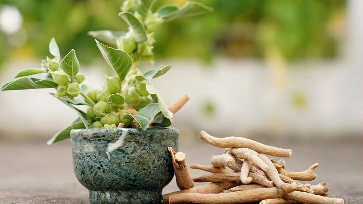Ashwagandha Benefits, Uses, and Best Ways to Take Withania Somnifera