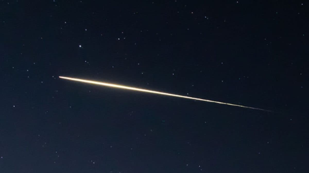 'Dragon Blazing Across The Sky': Elon Musk Reacts As SpaceX Capsule Lights Up California Night | Watch