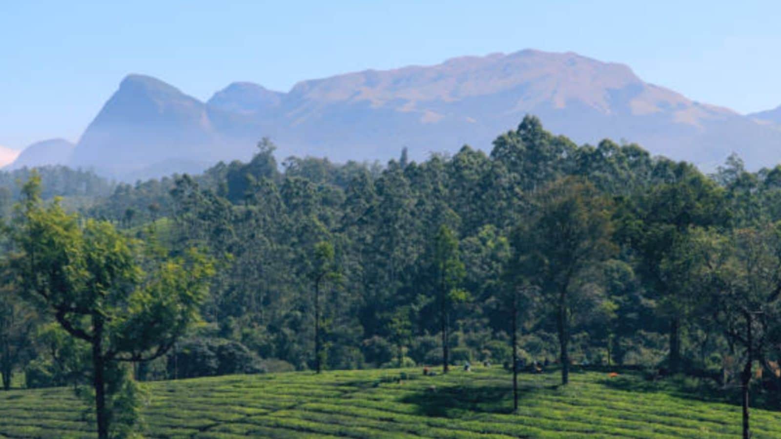  Known for its clean air and water, Coimbatore offers top-notch hospitals, a strong wellness culture, and proximity to the Western Ghats.