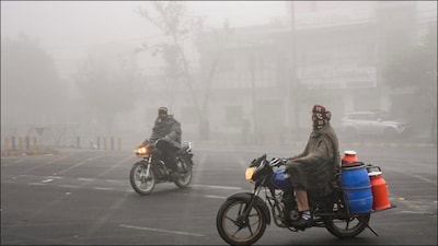 Cold wave gripped North India, with dense fog covering Delhi-NCR. (PTI/File)