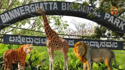A Supreme Court panel led by Chandra Prakash Goyal will visit Bannerghatta Park to assess the impact of reducing its eco-sensitive zone. (Pic: Suryatara)