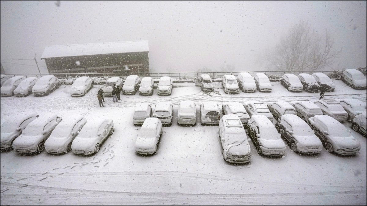 Western Disturbance To Bring Rain, Snowfall In North India This Weekend | Check IMD's Forecast