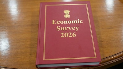 The Economic Survey offers a detailed snapshot of the Indian economy, covering trends in GDP growth, inflation, fiscal position, employment, credit growth, trade and the external sector. (Photo: AI-generated illustrative image.)