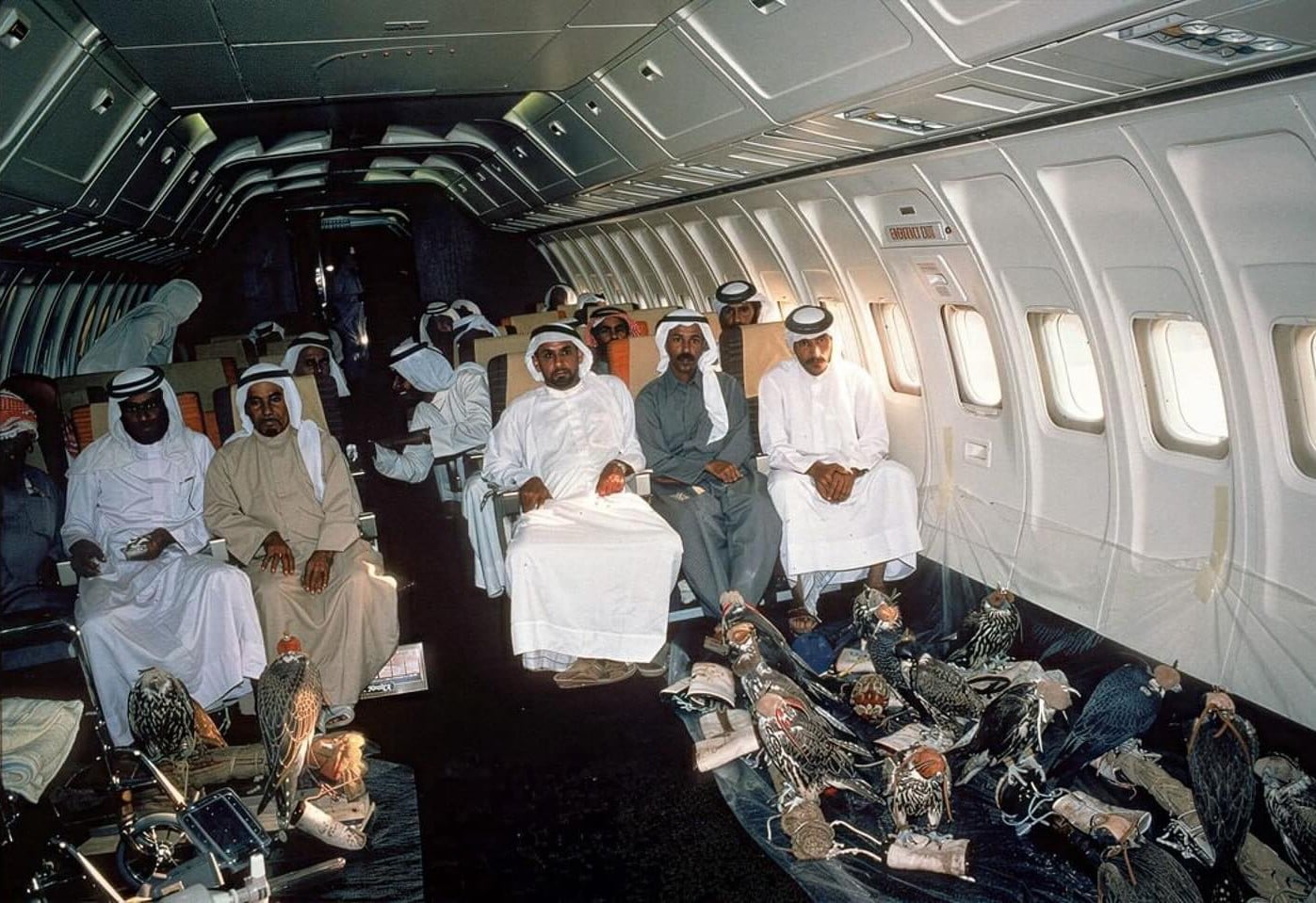 Falcons On Planes? Discover The Country That Gives Them Visas