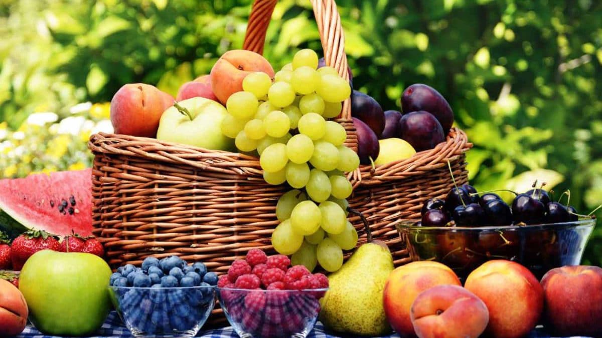 GK: Which Indian State Is Known As The Fruit Bowl Of India?