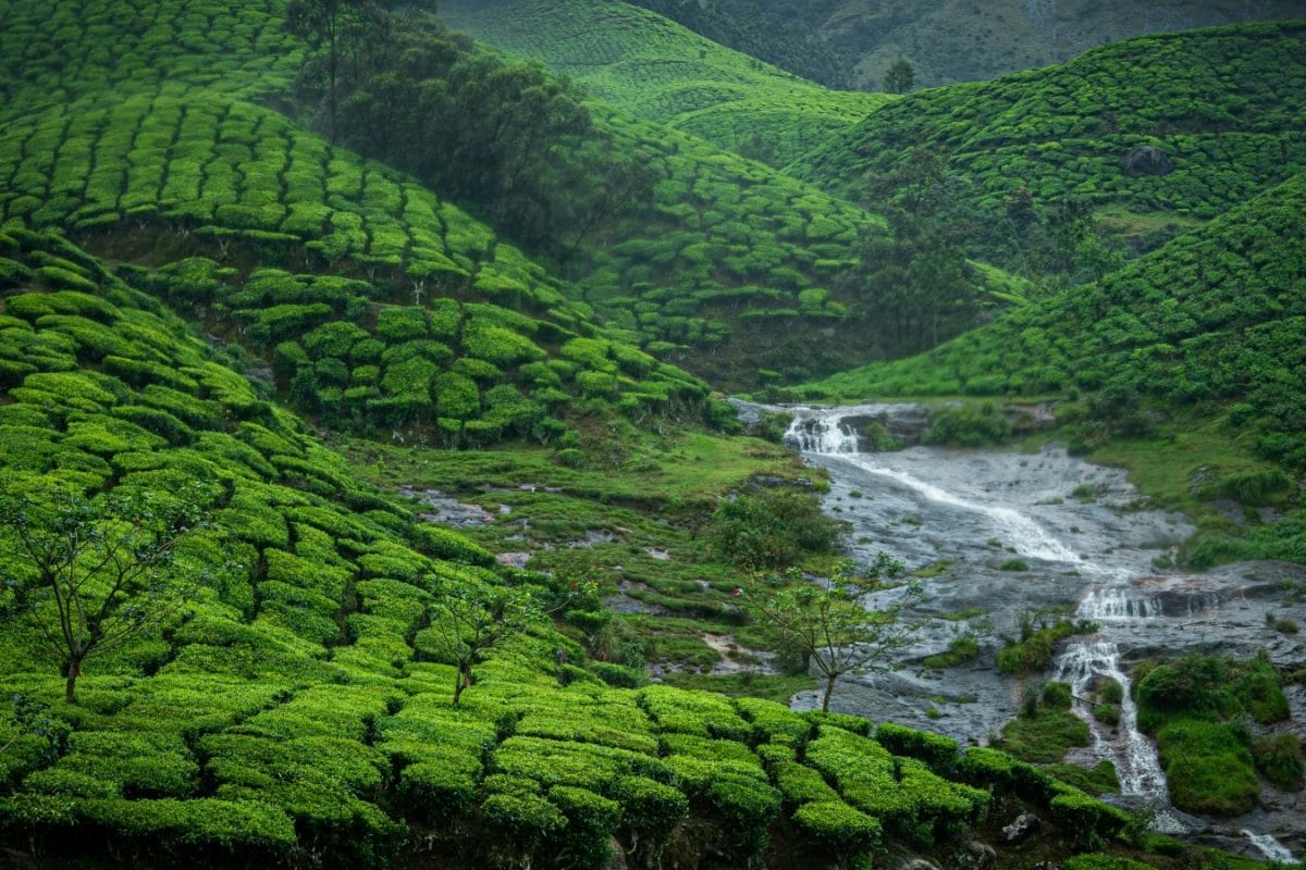 Planning A South India Trip In 2026? This Content Creator Shares Rates Places He Has Visited