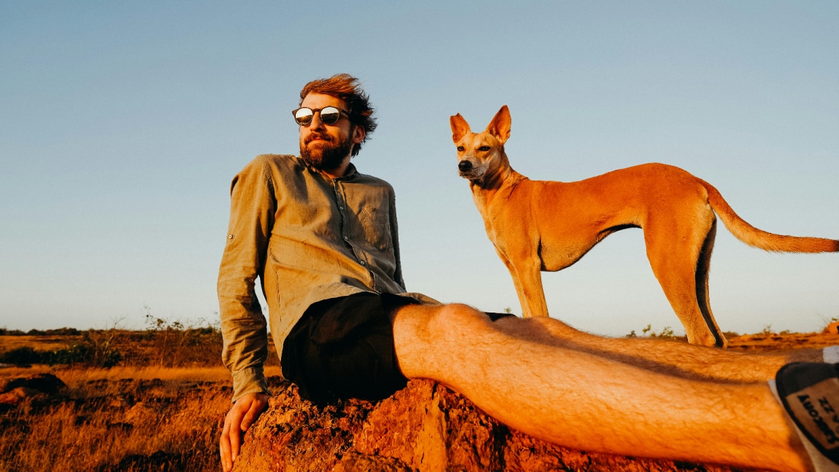 Are You An Introvert? These Dog Breeds Can Be Your Best Companion