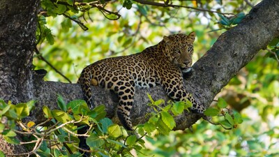 8 Best National Parks You Must Visit This Year