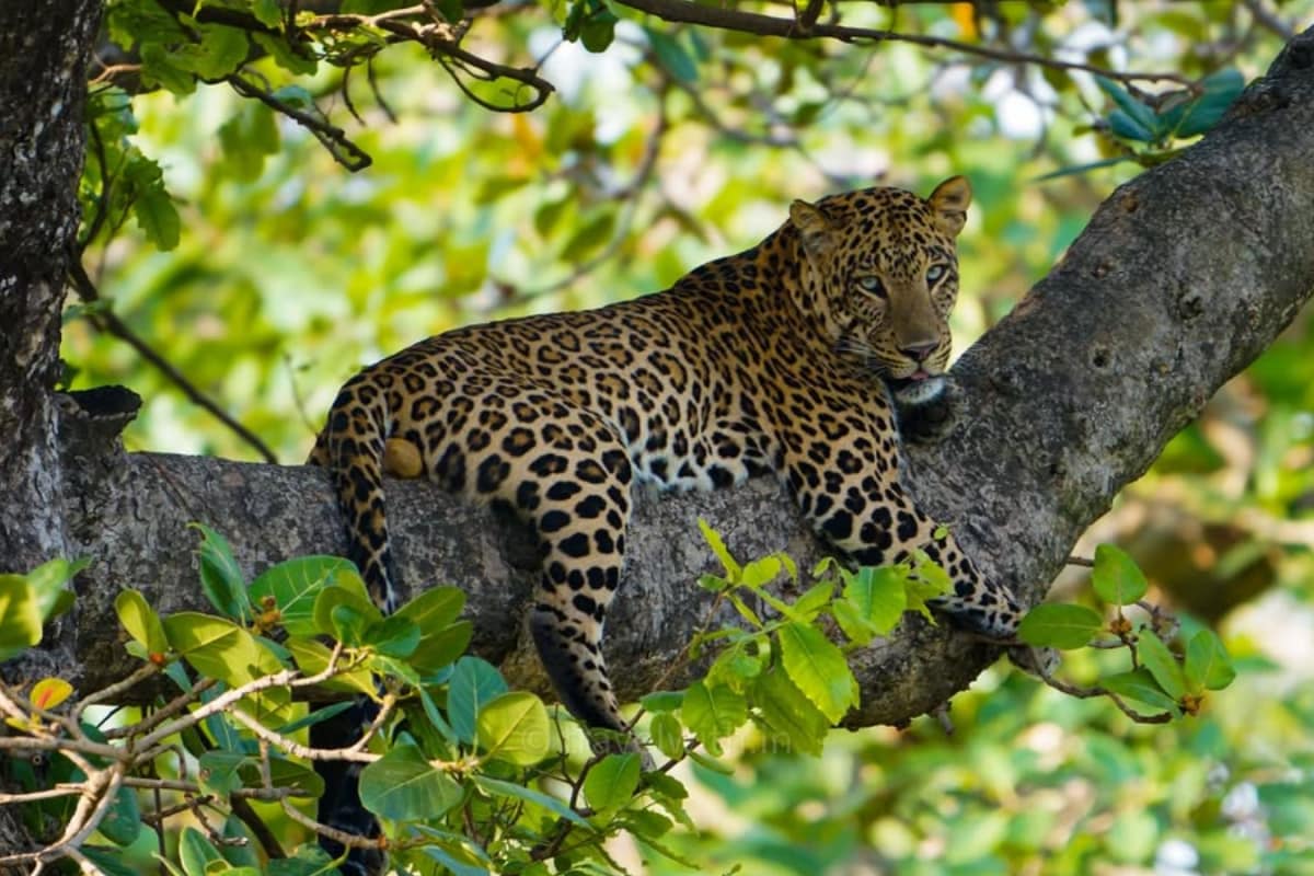 8 Best National Parks You Must Visit This Year