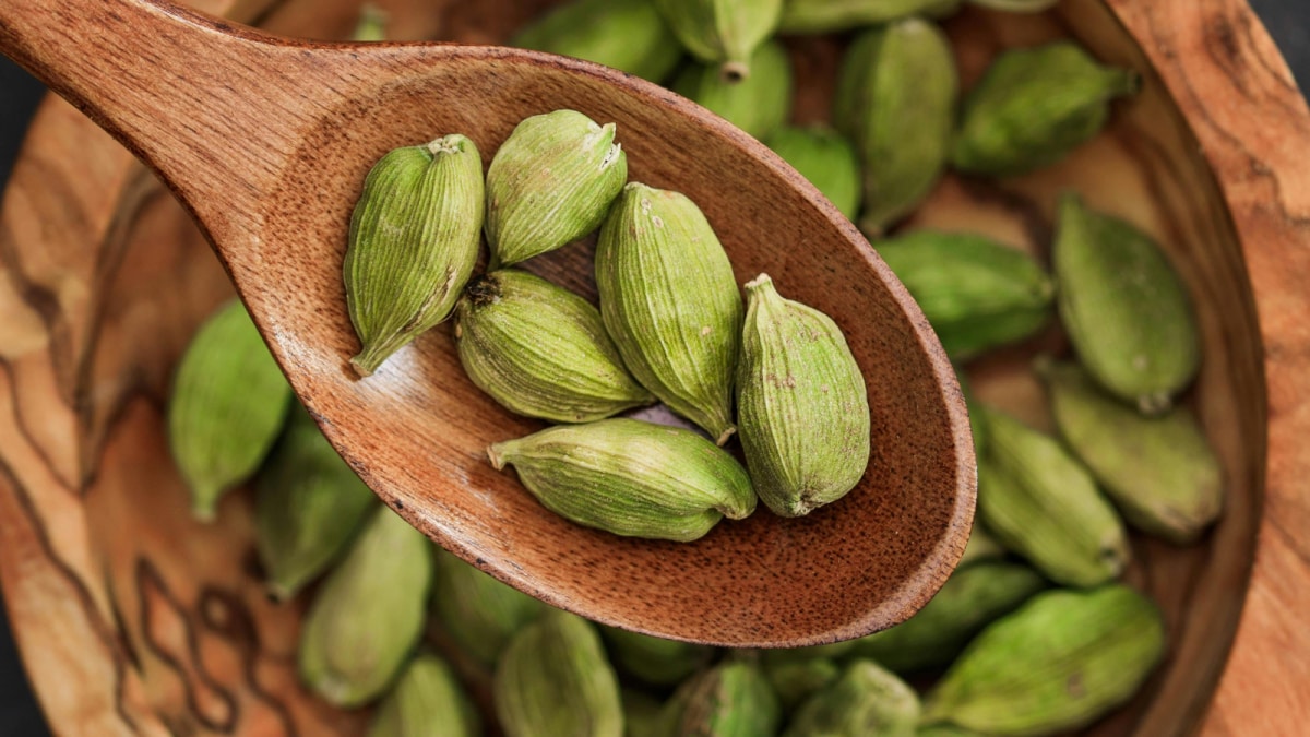 GK: Which City Is Known As The Cardamom City Of India?