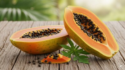 सर्दियों में पपीता खाएं या नहीं? विशेषज्ञ ने बताया सच और फायदे.
