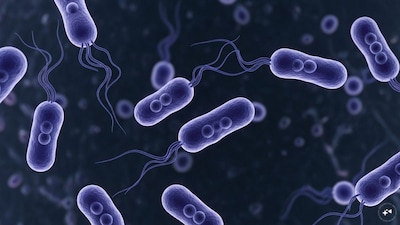 Groundwater in Khanugaon, Adampur Cantonment and Vajpayee Nagar, Bhopal, tested positive for E. coli, prompting bans and urgent pipeline upgrades by BMC. (AI Image)