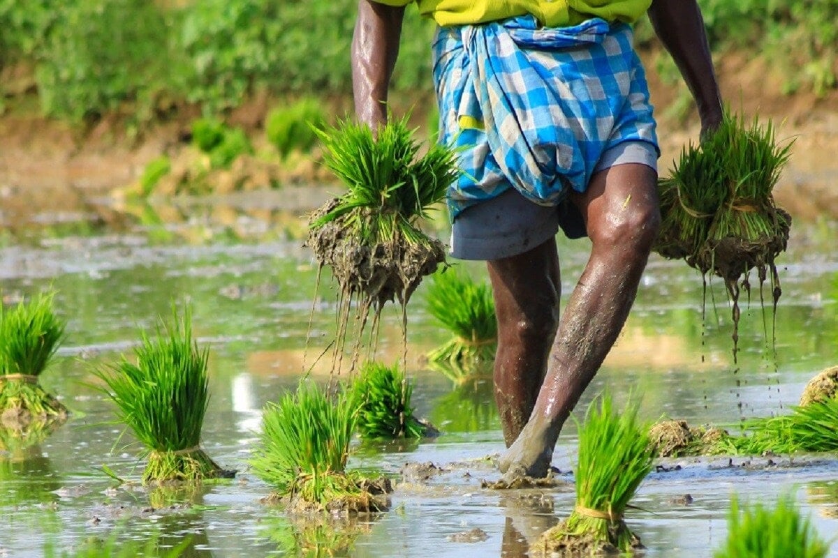 Agriculture has always been the backbone of India’s economy, but the sector continues to face challenges ranging from unpredictable weather to fragmented access to reliable information. For decades, farmers have relied on traditional wisdom, local networks, and occasional government advisories to make decisions about crops, soil, and markets. Agriculture has always been the backbone of India’s economy, but the sector continues to face challenges ranging from unpredictable weather to fragmented access to reliable information. For decades, farmers have relied on traditional wisdom, local networks, and occasional government advisories to make decisions about crops, soil, and markets.
