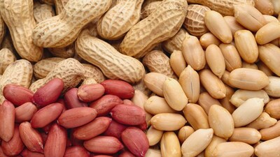 The fibre content in the peanuts' red skin supports digestion and can help prevent constipation. 