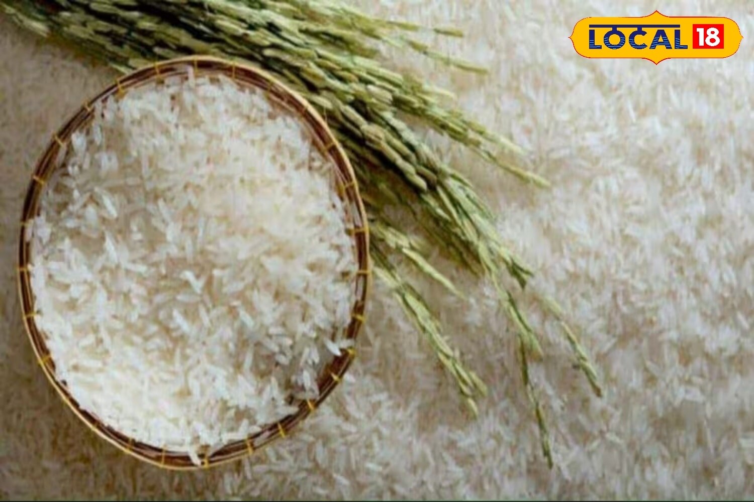 Pollenless Rice Diet-Friendly Rice: 4 Varieties That Won’t Make You Put On Extra Pounds
