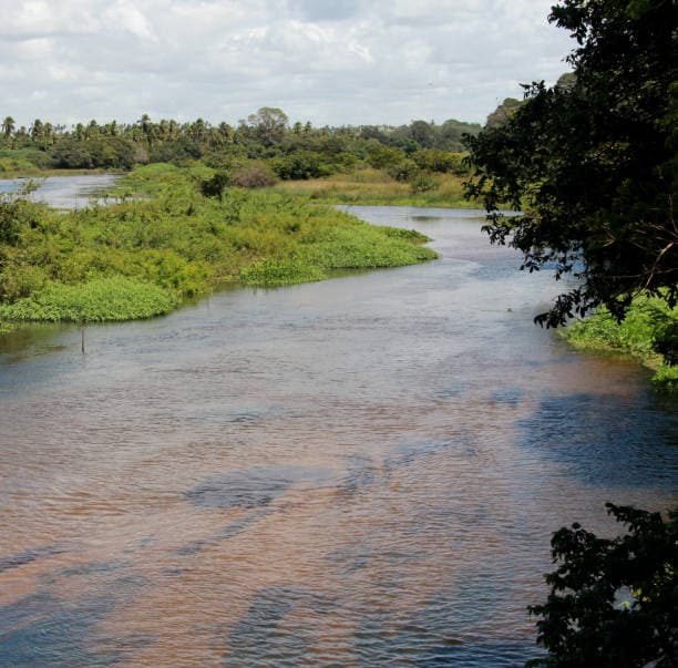 Jayamangali River: The Jayamangali River rises in Karnataka and courses through rocky uplands and dry plateaus before joining the Pennar. Its basin, characterized by shallow soils, stony stretches, and semi-arid terrain, plays a key role in shaping the Pennar system’s rocky drainage patterns. Jayamangali River: The Jayamangali River rises in Karnataka and courses through rocky uplands and dry plateaus before joining the Pennar. Its basin, characterized by shallow soils, stony stretches, and semi-arid terrain, plays a key role in shaping the Pennar system’s rocky drainage patterns.