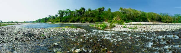 The tributaries of Pennar River are Jayamangali, Chitravathi, Papagni, and Kunderu. The tributaries of Pennar River are Jayamangali, Chitravathi, Papagni, and Kunderu.