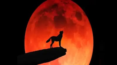 The name ‘Wolf Moon’ comes from ancient Native American and European traditions.
