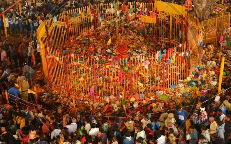 Second Only To The Kumbh Mela, Telangana Hosts Asia’s Largest Tribal Congregation Second Only To The Kumbh Mela, Telangana Hosts Asia’s Largest Tribal Congregation