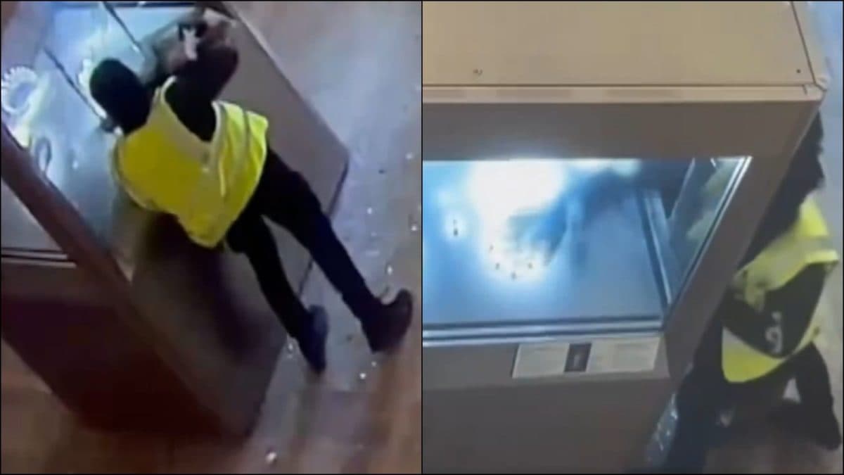 New Video Of Daring Heist Exposes Shocking Lapse At The Louvre, Netizens Suspect ‘Inside Job’