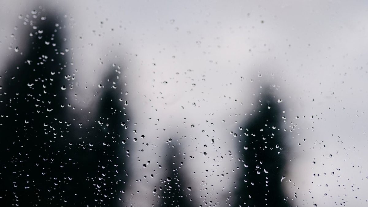 Cold Alert In Bengaluru: Bitter Chill This Week, Rain Lurking Next