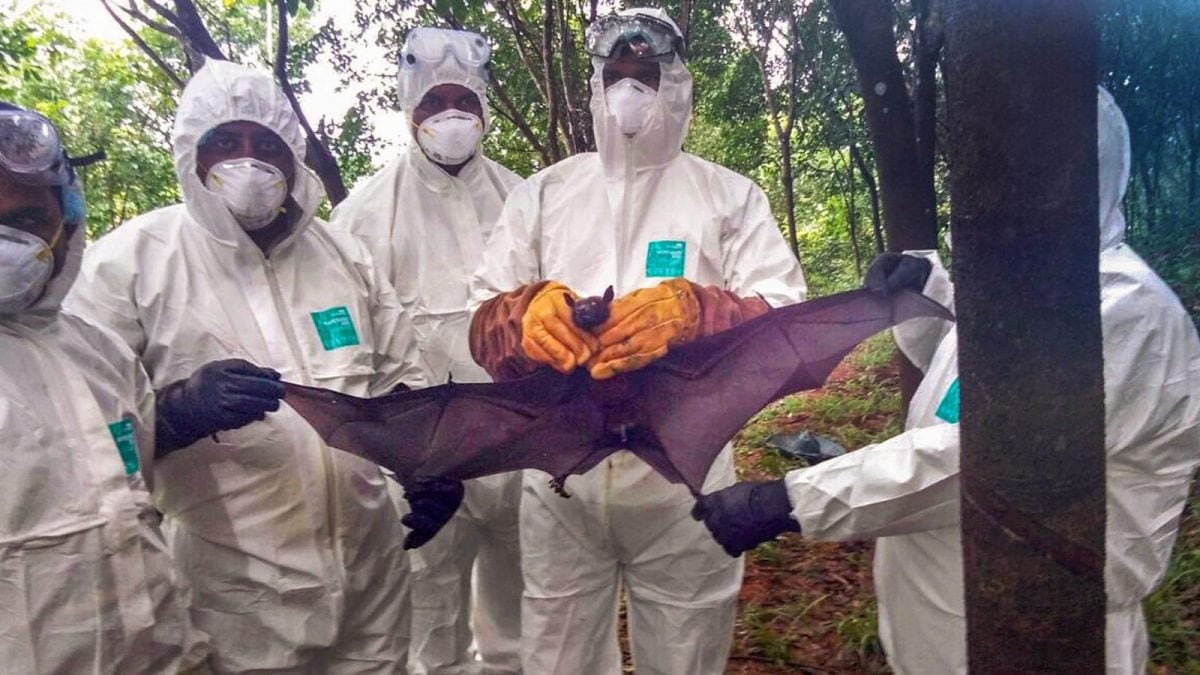Nipah Virus Outbreak: All About The Disease With No Cure As Asian Airports Tighten Screening