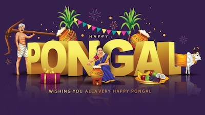 Happy Pongal 2026: Wishes, Images, Greetings, Cards, Quotes Messages, Photos, SMSs WhatsApp and Facebook Status. (Image: Shutterstock)