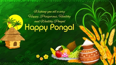 Happy Pongal 2026: Wishes, Images, Greetings, Quotes, Messages, SMS, WhatsApp and Facebook Status in English and Tamil.