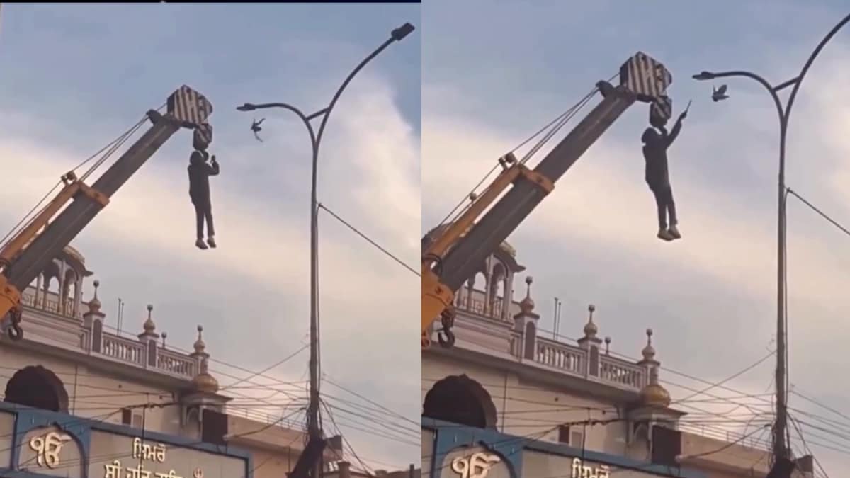 Punjab Man Risks Life, Dangles From Crane To Save Bird Trapped In Wires ...