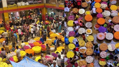 From village farms to city markets, Bengaluru’s flowers bloom before dawn and travel miles to reach temples, weddings and homes across India.