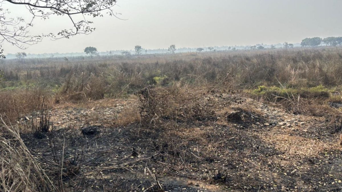 Nano, 'Paribartan' & Polls: How PM Modi's Singur Visit Will Reopen Bengal's 18-Year-Old Chapter