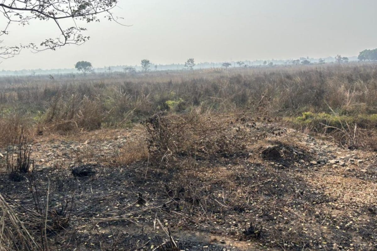 Mamata urges CJI Surya Kant to protect Constitution, democracy | Quick Digest