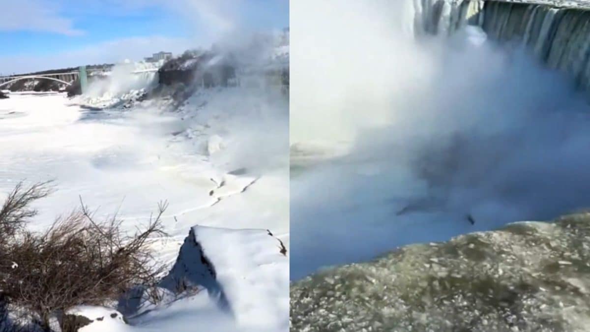 Niagara Falls Turns Icy As Polar Vortex Freezes Mist In Minus 20°C | Watch