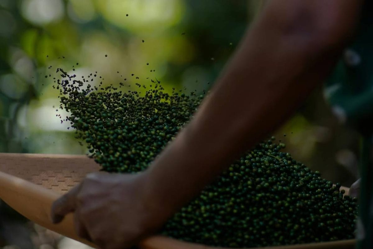 GK: Which State Is Known As The Spice Garden Of India?