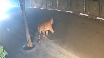 A screengrab from the viral video. (Image: X/@AndhraNexus)