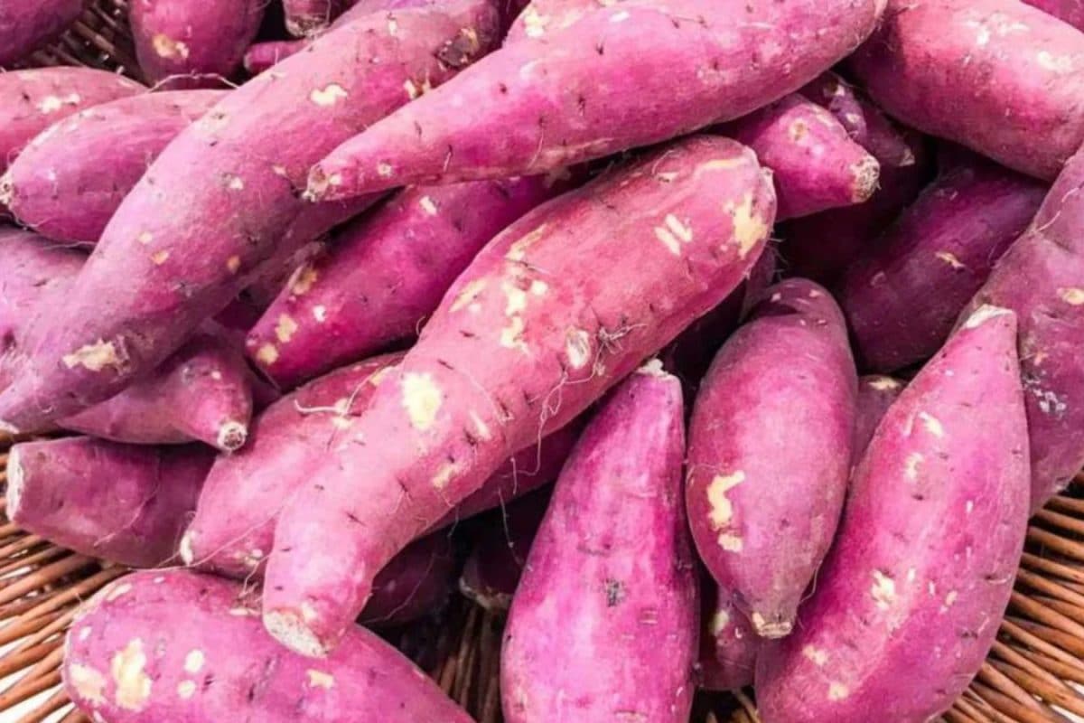 Chaitra Navratri 2026: 7 Vegetables You Can Eat While Fasting