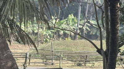 Beyond the bamboo barriers lies the no-man’s land, followed by Bangladesh, making the vulnerability even more apparent. Image/News18