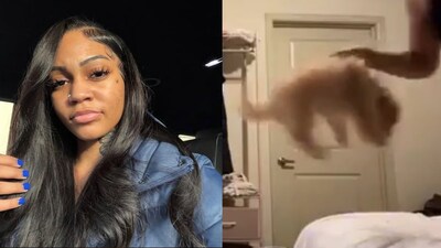 Twitch Streamer Aspen Kartier Suspended After Shocking Puppy Abuse ...