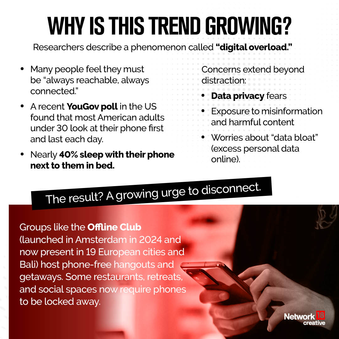 The company behind it is Brick LLC, and the app works on both iOS and Android devices. (IMAGE: NEWS18 ILLUSTRATION)