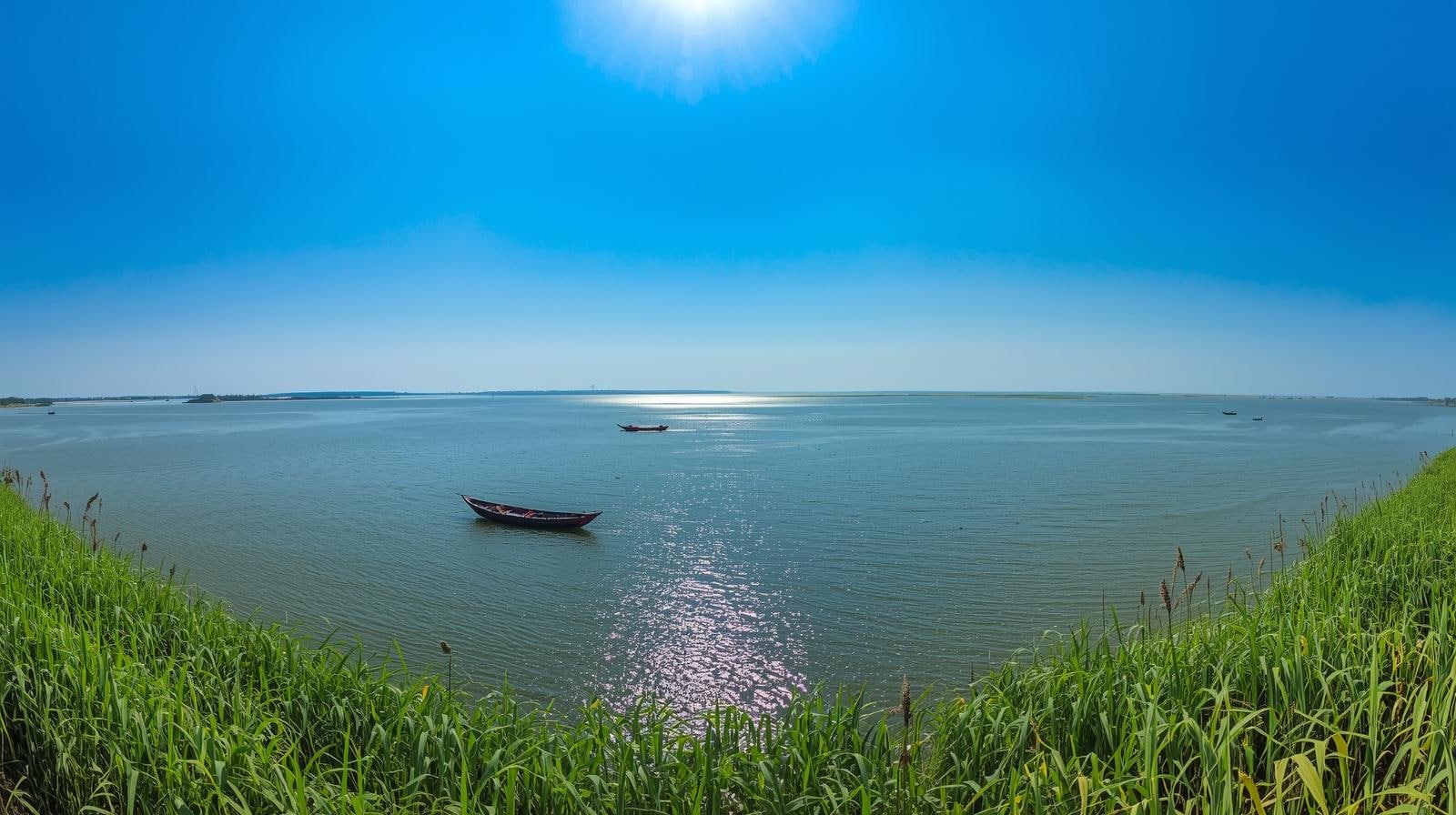 Chilka Lake, Odisha: Asia's largest brackish lagoon is a winter haven for nearly a million birds. At Mangalajodi, community-led conservation allows for silent, non-motorized boat rides. Here, you can observe Northern Pintails, Black-tailed Godwits, and Purple Heron at remarkably close range in their natural habitat.