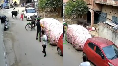 The attack took place in Chaupatiya Colony. (Photo Credit: X)