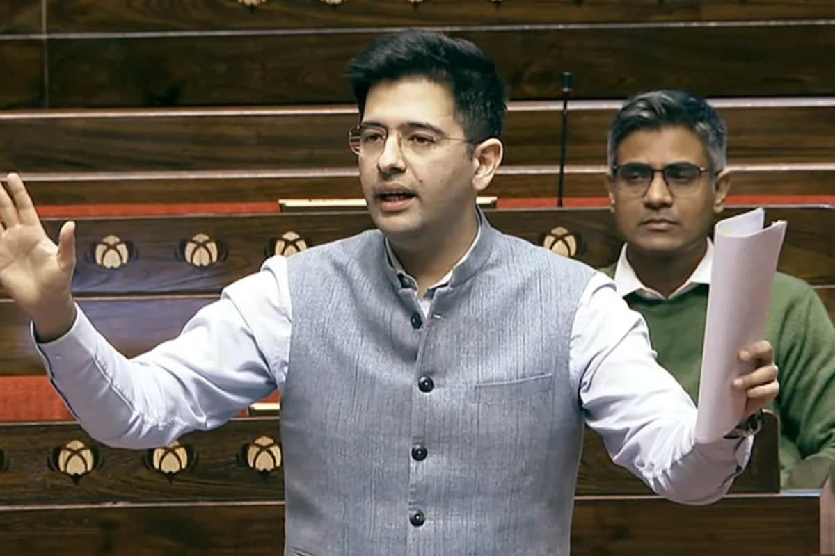 Income Tax: Raghav Chadha Proposes Joint ITR Filing For Married Couples; Here's What He Says