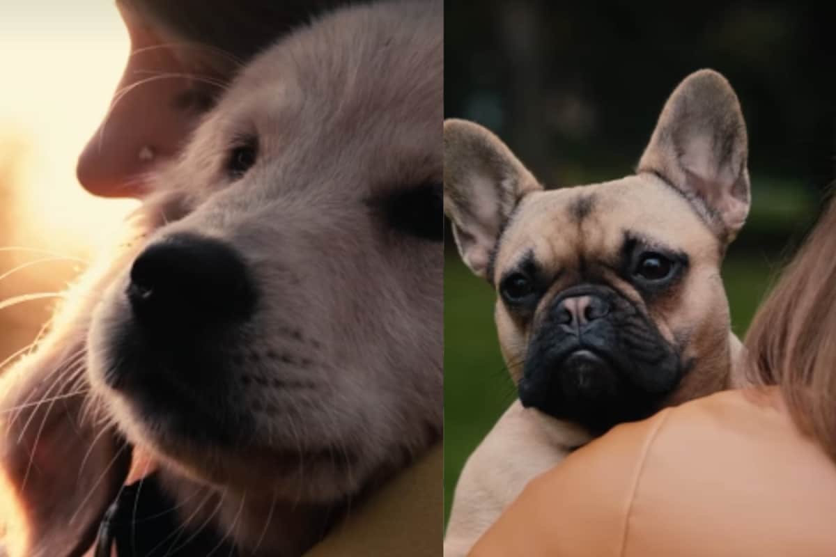 What Seemed Like ‘Playful Licks’ By Her Dog Left 52-Year-Old Woman In Coma: '6 Cardiac Arrests, Lost All Limbs'