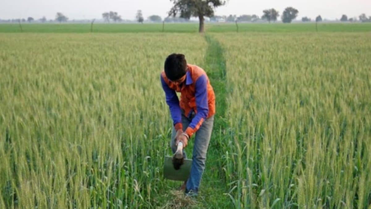 Smart Cultivation Helps This Bihar Farmer Earn Rs 5 Lakh From Just One Acre, Here's How