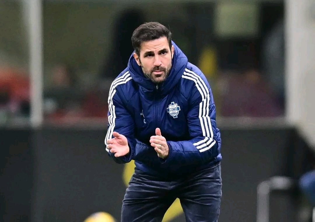 Cesc Fabregas. (X) Cesc Fabregas. (X)