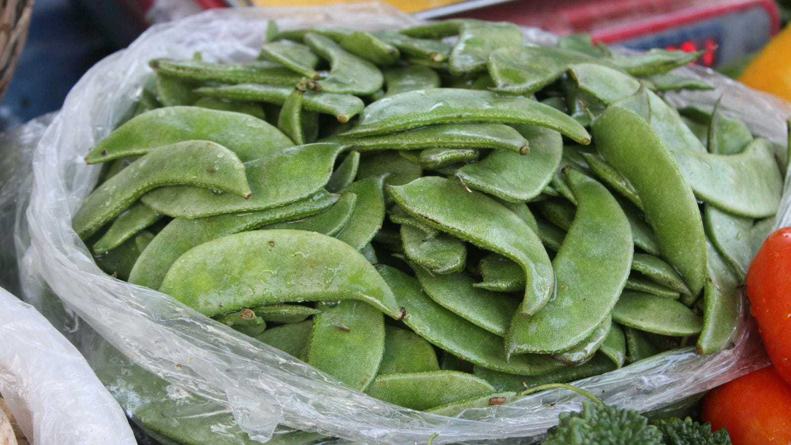 Beyond French Beans: Exploring India’s Diverse Green Bean Varieties