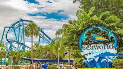 From exciting new attractions and delicious dining spots to the latest places to stay, here’s the inside scoop, fresh from local partners across Kissimmee and Central Florida.