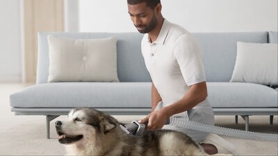 Love Your Pet Day is an invitation to double down on regular routines, clever hacks, and investing in smarter, easier care.