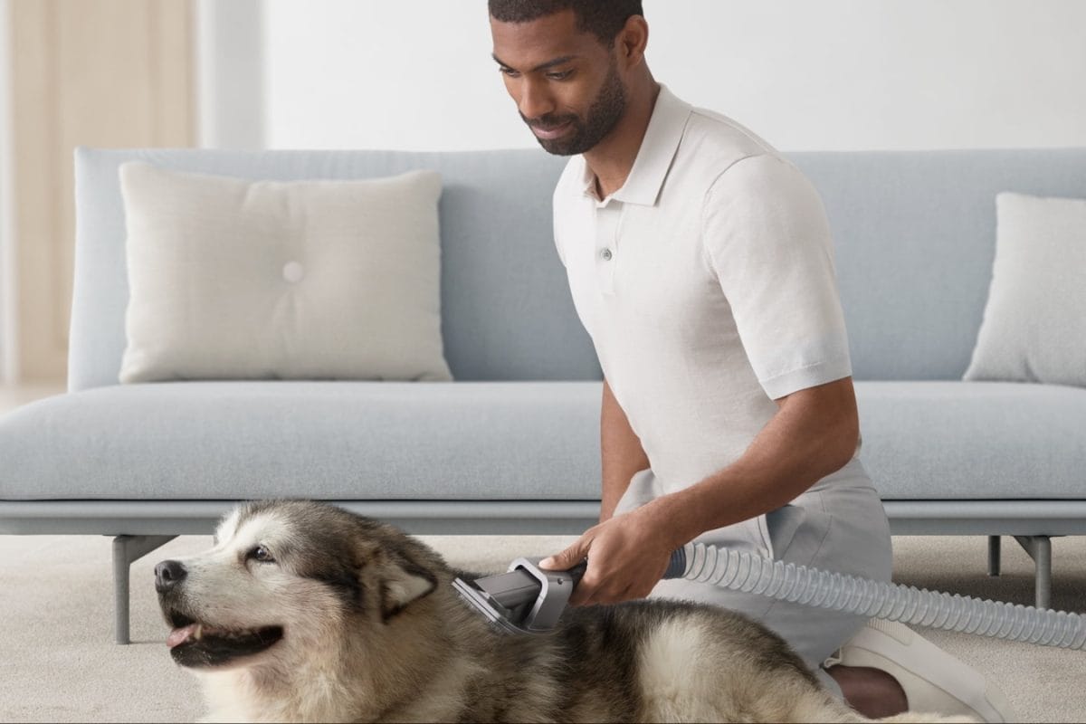 From Grooming To Playtime: Smart Pet Care Tips Every Owner Should Try