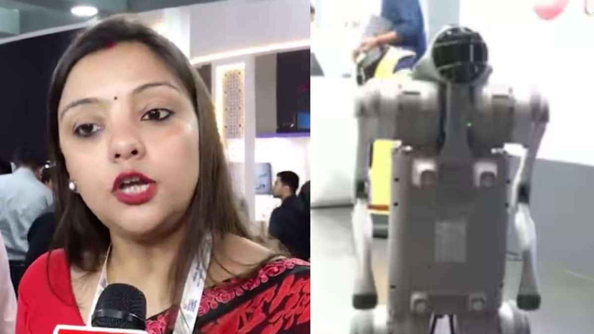 'Your Six, Somebody Else’s Nine': Galgotias Professor Under Fire Over Robodog Claim